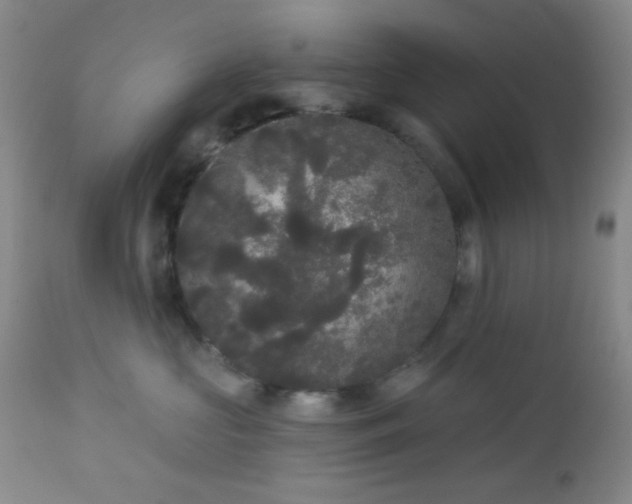 X0000112960573200908271119