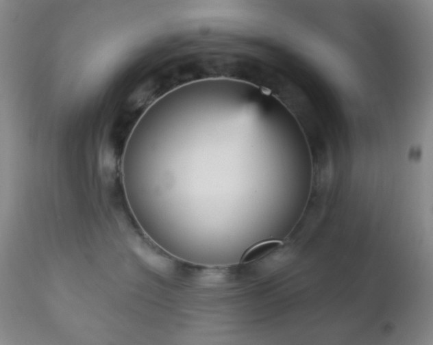 X0000112960574200908271119