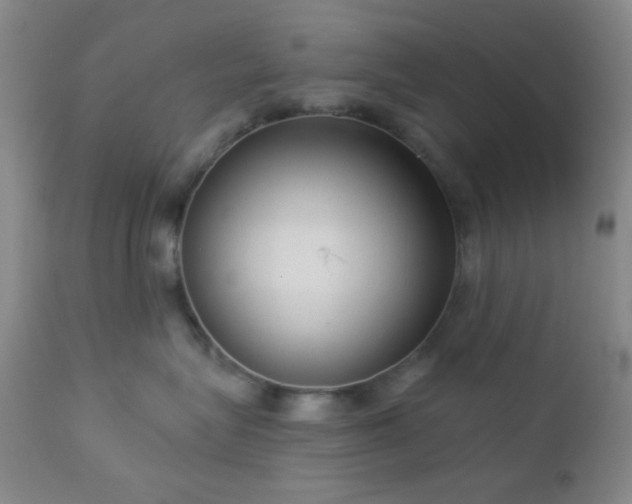 X0000112960575200908271120