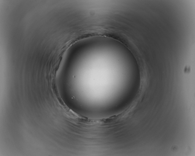 X0000112960576200908271120