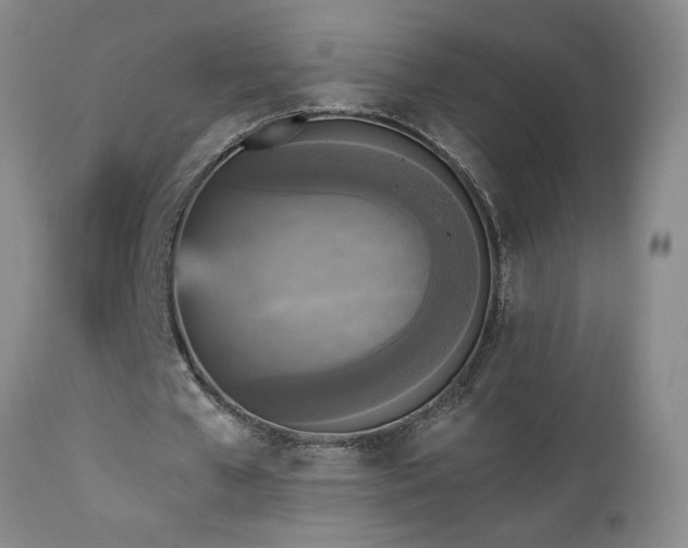 X0000112960577200908271119