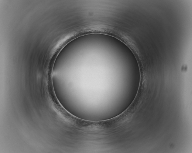 X0000112960578200908271119