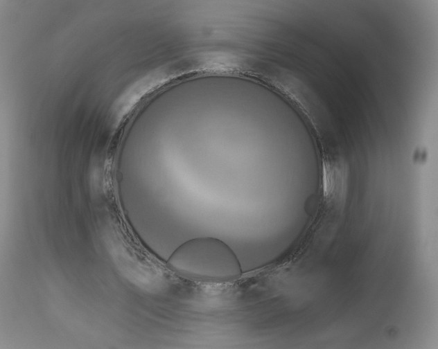 X0000112960579200908271119