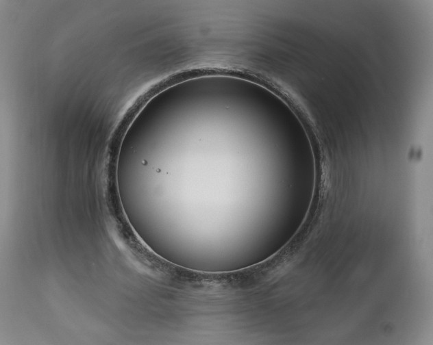 X0000112960580200908271119