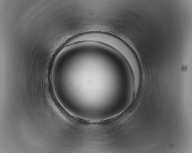 X0000112960581200908271119