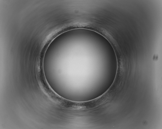 X0000112960582200908271119