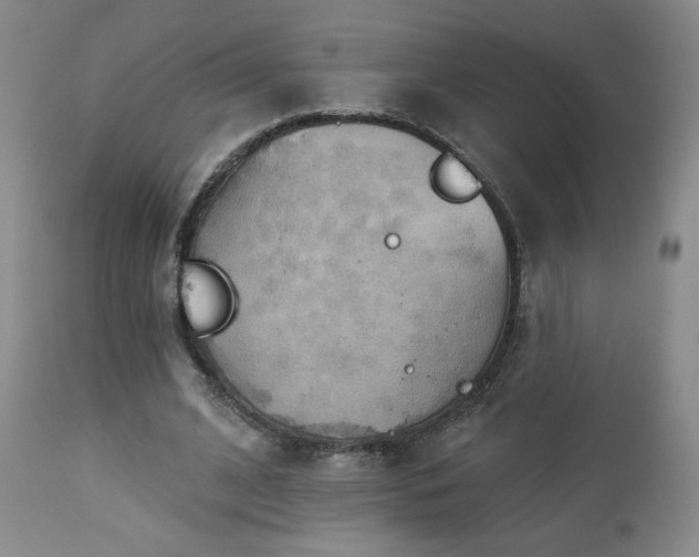 X0000112960584200908271119