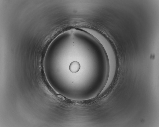 X0000112960585200908271119