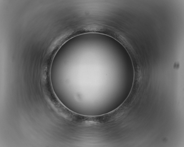 X0000112960586200908271119