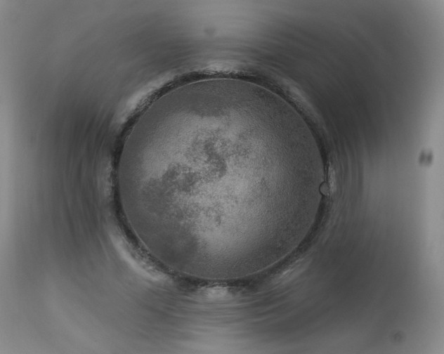 X0000112960588200908271119