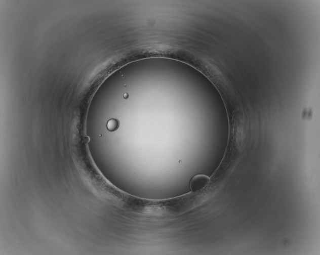 X0000112960591200908271118