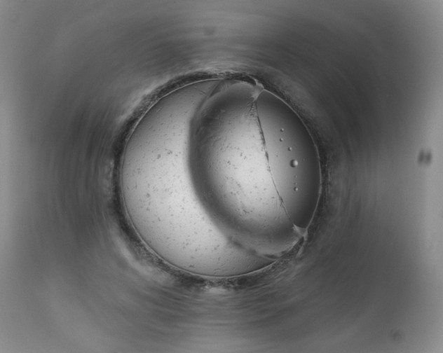 X0000112960592200908271118