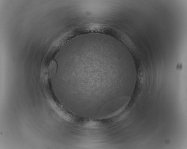 X0000112960593200908271118