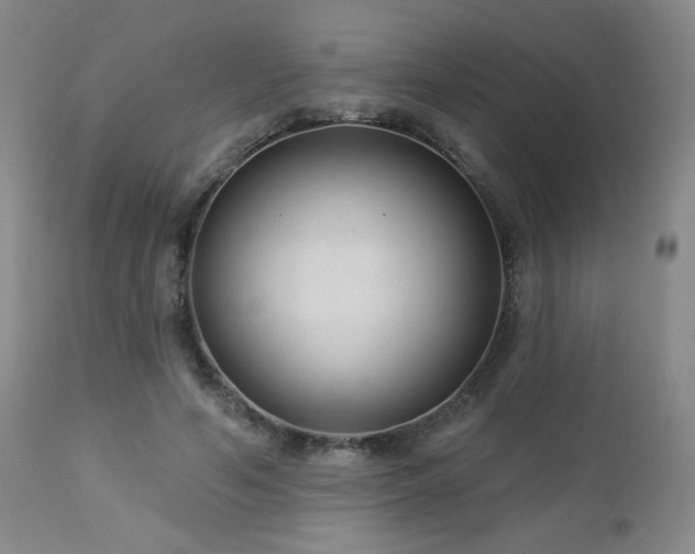 X0000112960594200908271118