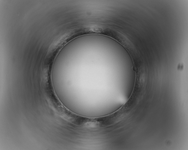 X0000112960595200908271118