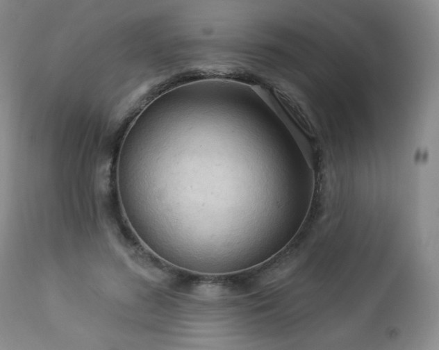 X0000112960596200908271118