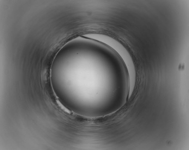 X0000112960597200908271118