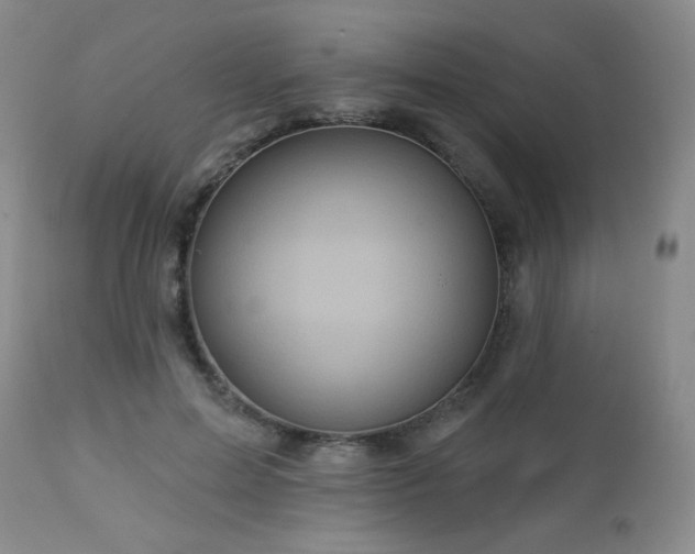 X0000112960599200908271118