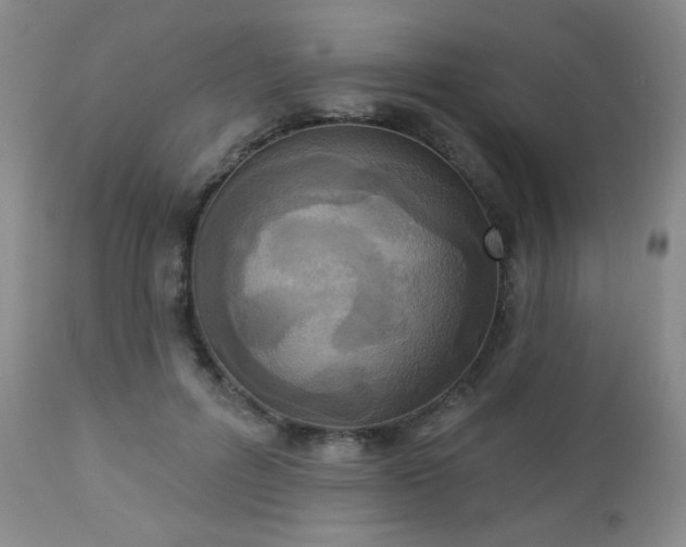 X0000112960600200908271118