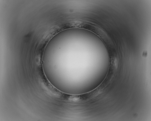 X0000112960602200908271118