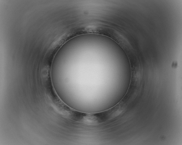 X0000112960603200908271118