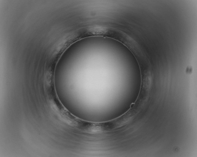 X0000112960604200908271118