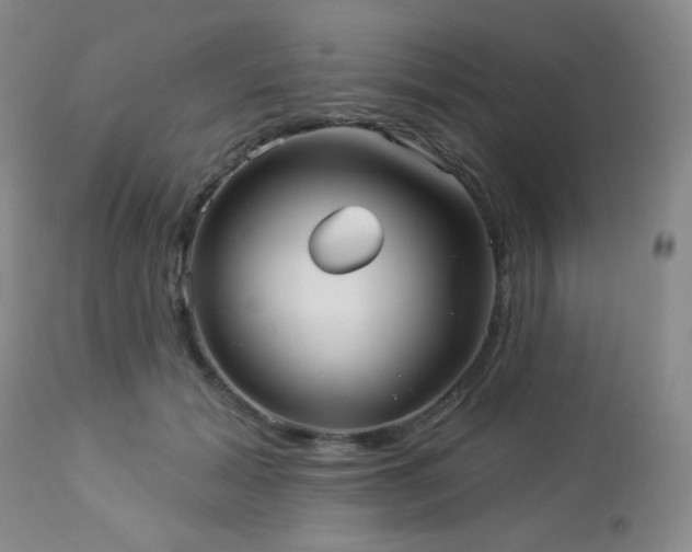 X0000112960605200908271118