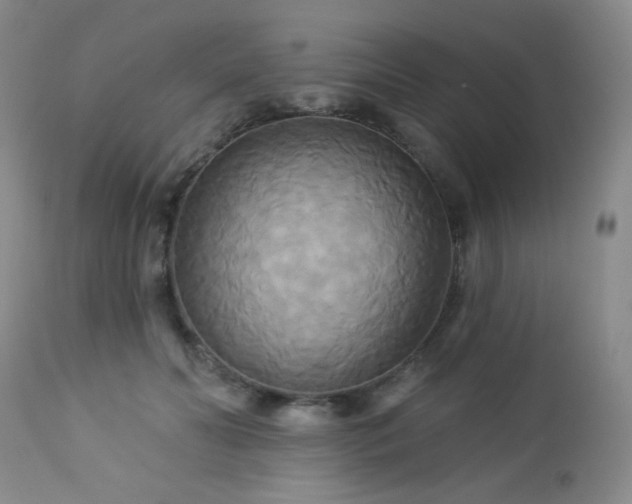 X0000112960606200908271118