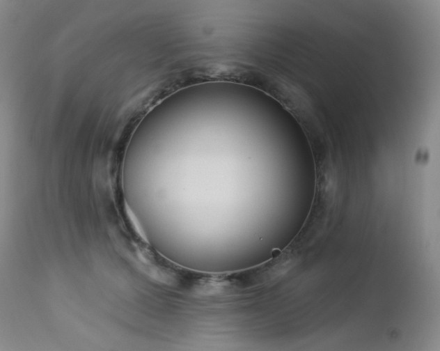 X0000112960607200908271118