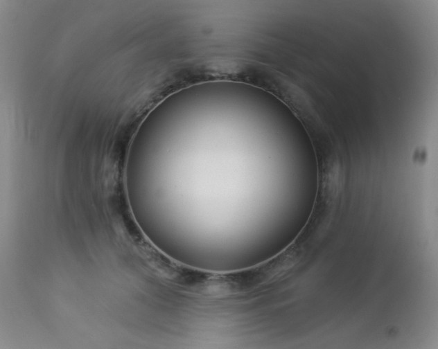 X0000112960608200908271118