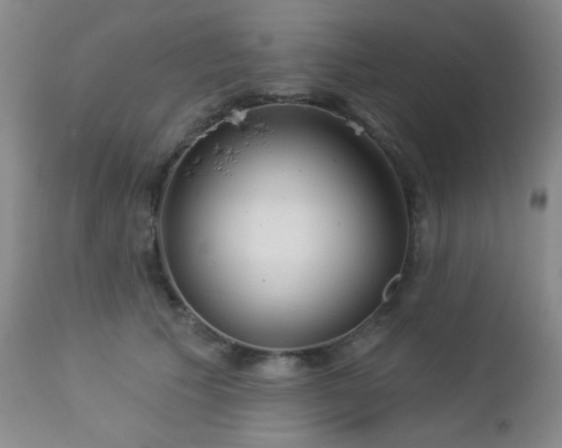 X0000112960609200908271118