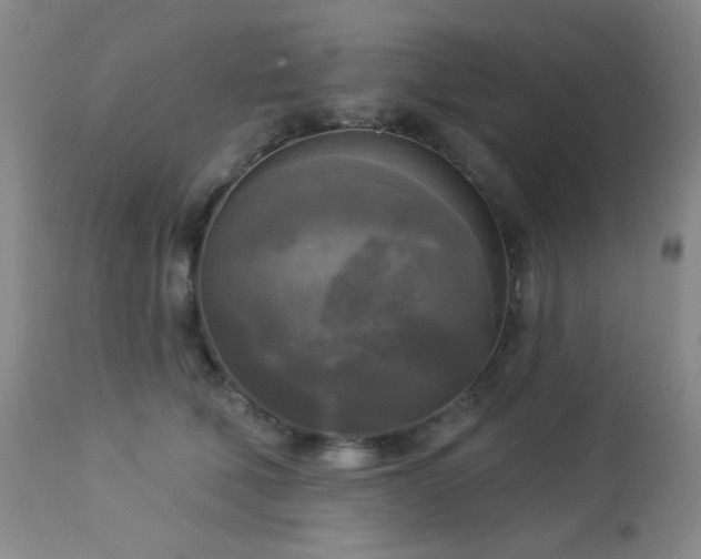 X0000112960610200908271118