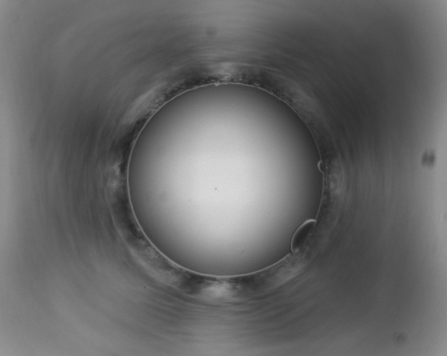 X0000112960611200908271118