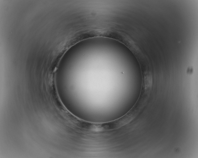 X0000112960613200908271118