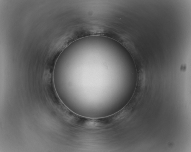 X0000112960614200908271118