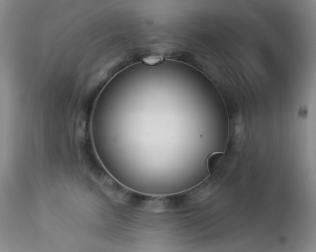 X0000112960615200908271118