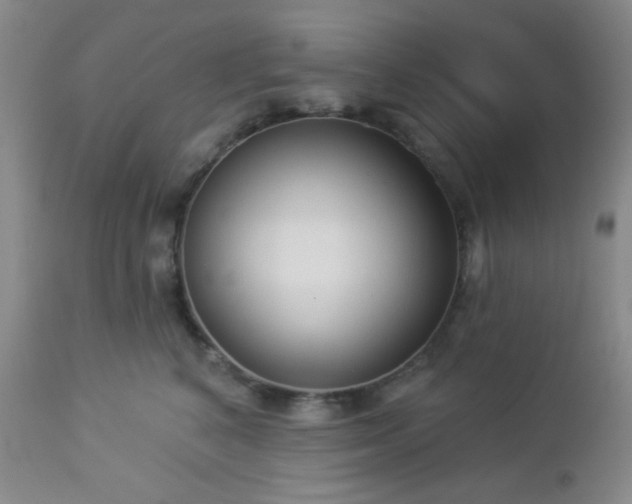 X0000112960616200908271118