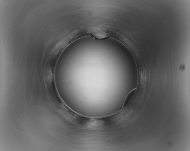 X0000112960617200908271118