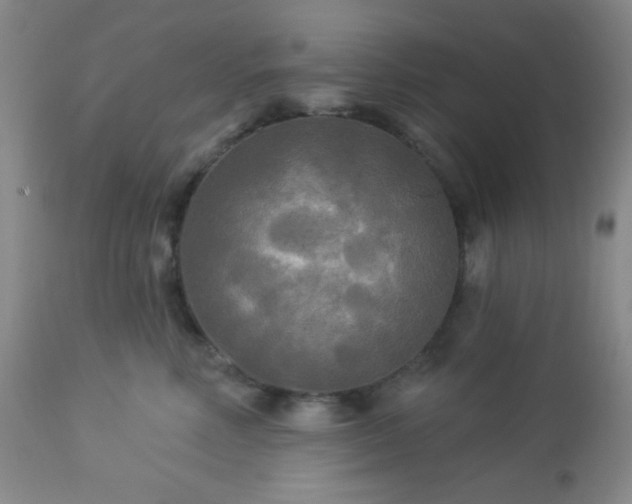 X0000112960618200908271118