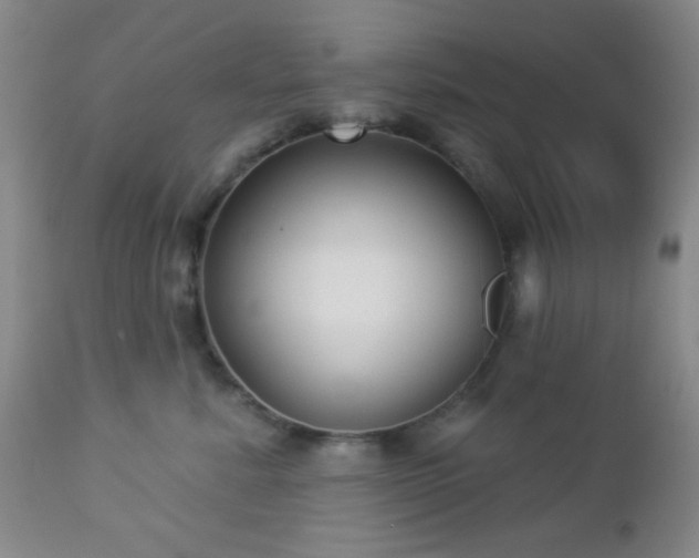 X0000112960619200908271118