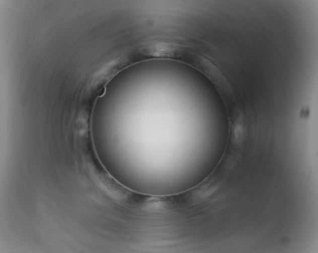 X0000112960620200908271118