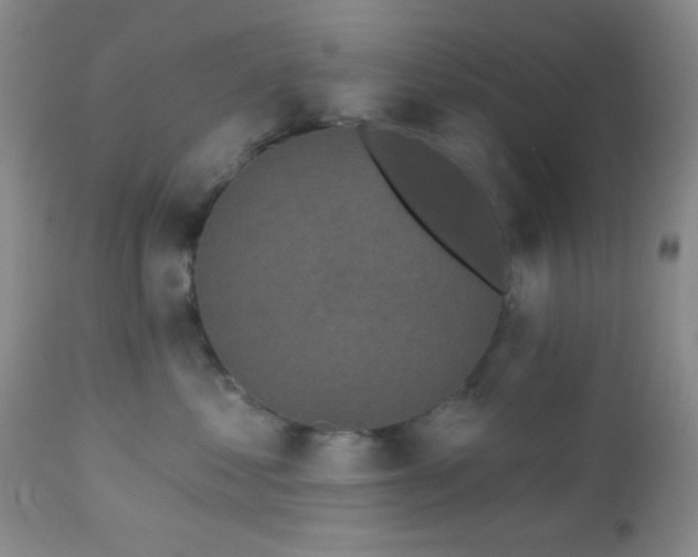 X0000112960621200908271118