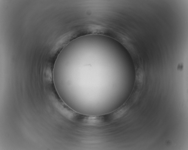 X0000112960622200908271118