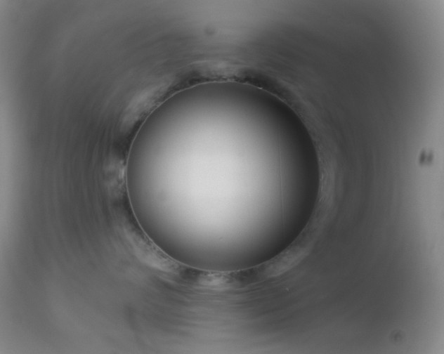 X0000112960624200908271118