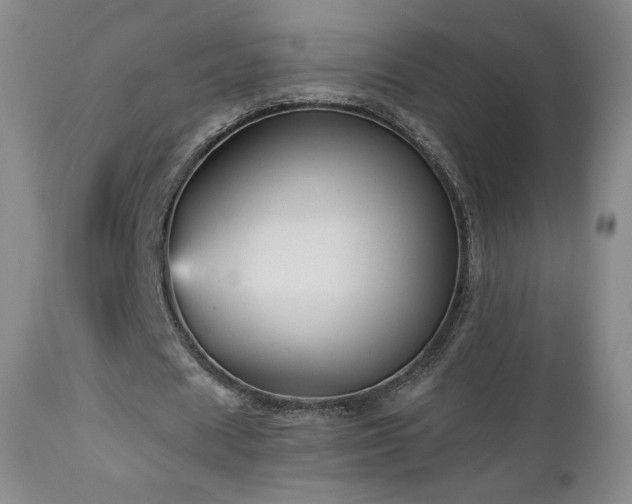 X0000112960625200908271117