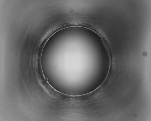 X0000112960626200908271117