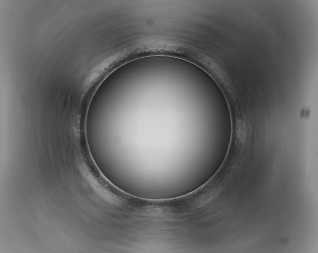 X0000112960629200908271117