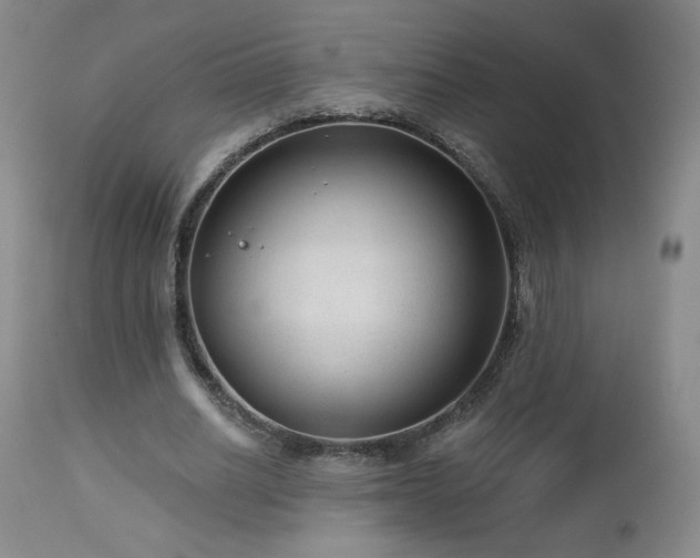 X0000112960630200908271117