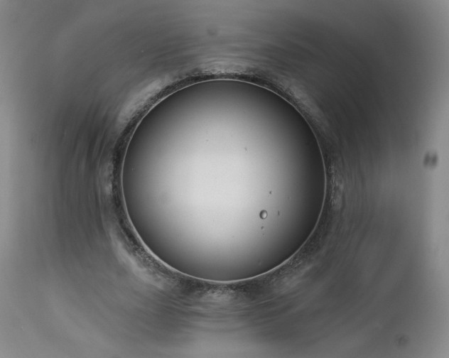 X0000112960631200908271117