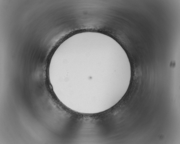 X0000112960632200908271117